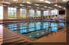 pool_divingboard3.jpg (48955 bytes)